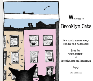 brooklyn cats pic